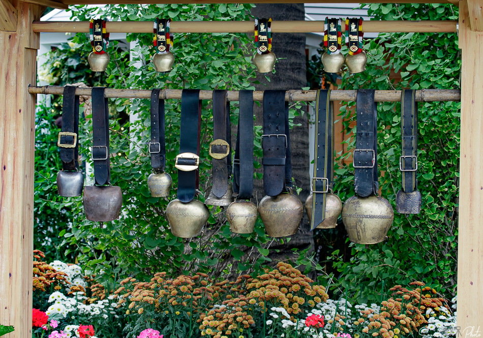 Canon EOS 7D Mark II - EF70-300mm f/4-5.6L IS USM