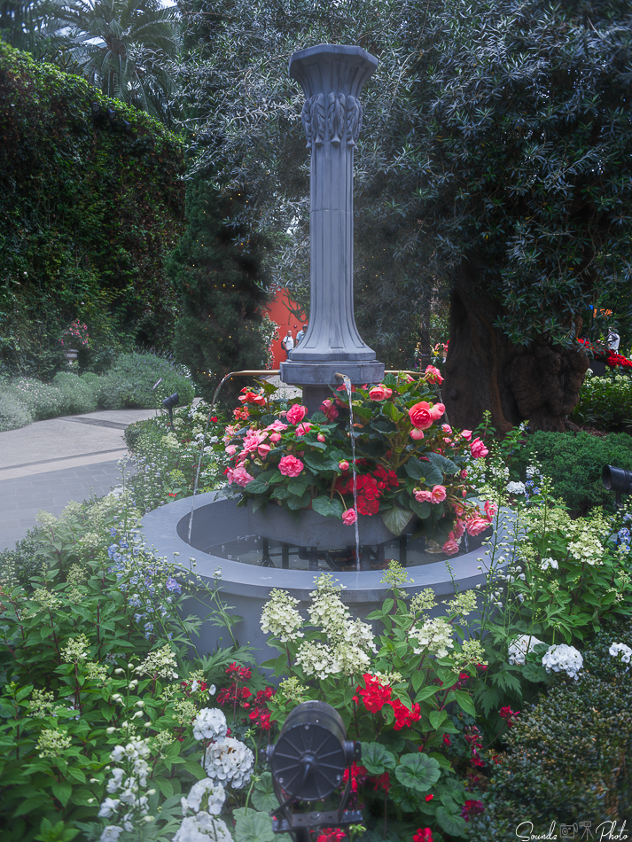 GFX100S II - Viltrox Canon EF 35mm f/2