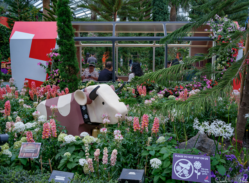 GFX100S II - Viltrox Canon EF 35mm f/2