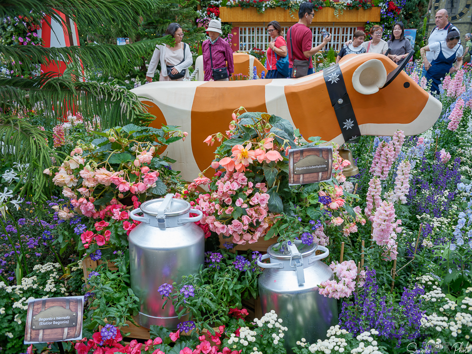 GFX100S II - Viltrox Canon EF 35mm f/2