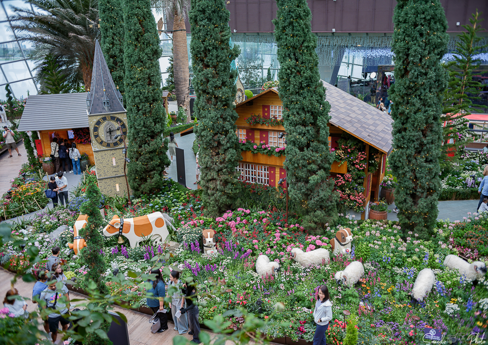 GFX100S II - Viltrox Canon EF 35mm f/2