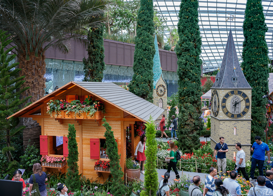 GFX100S II - Viltrox Canon EF 35mm f/2