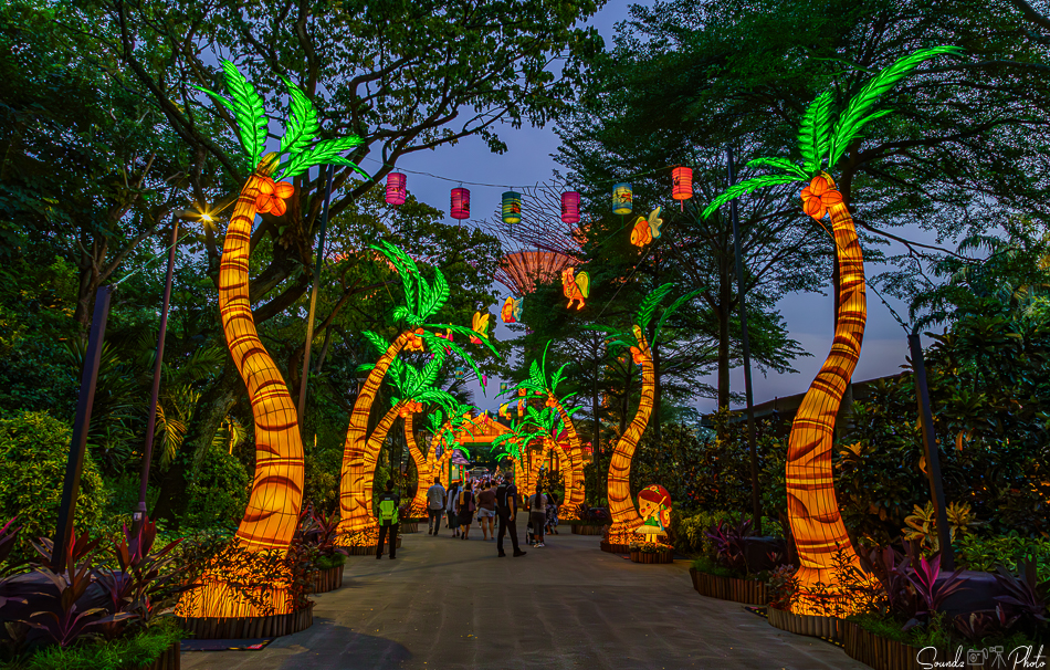 ILCE-7M3 - EF24-105/4L IS USM