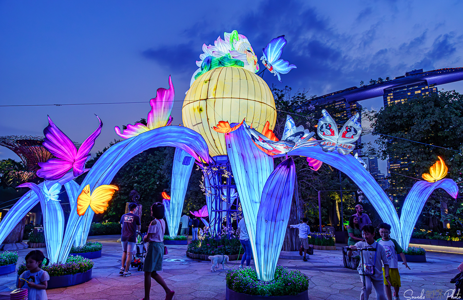 ILCE-7M3 - EF24-105/4L IS USM