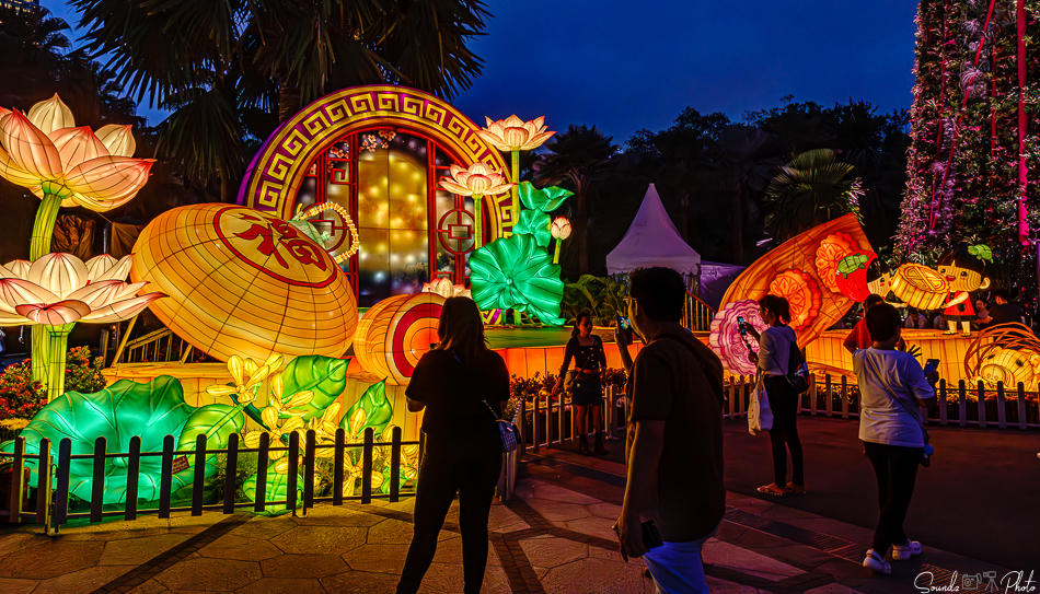 ILCE-7M3 - EF24-105/4L IS USM