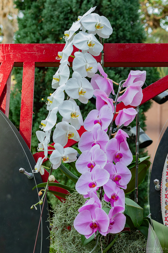 Canon EOS 7D Mark II - EF70-300mm f/4-5.6L IS USM