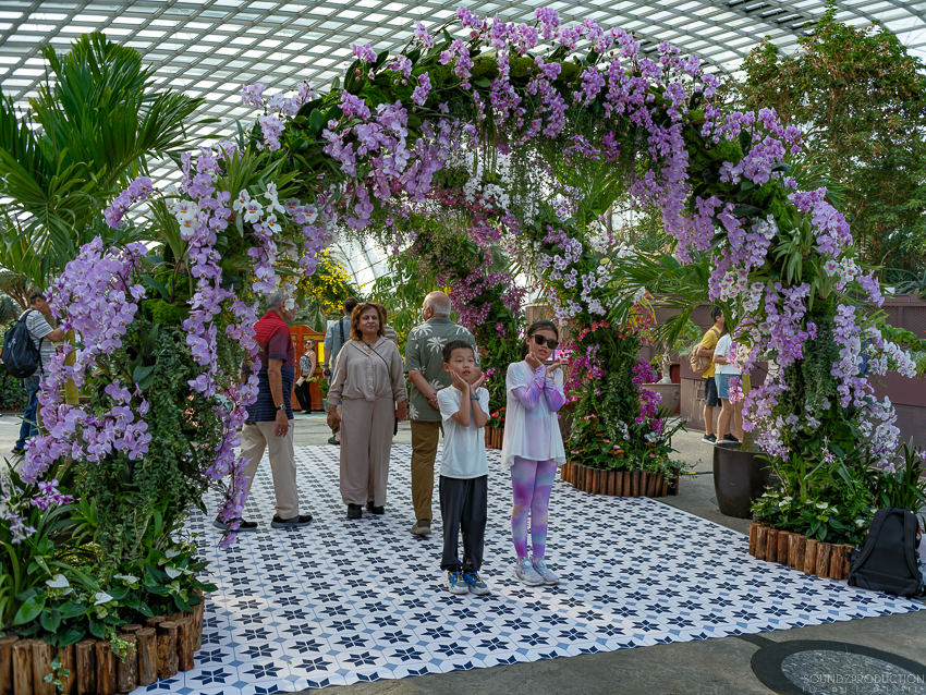 GFX100S II - Viltrox Canon EF 35mm f/2