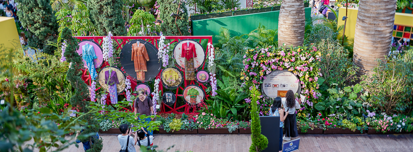 GFX100S II - Viltrox Canon EF 35mm f/2