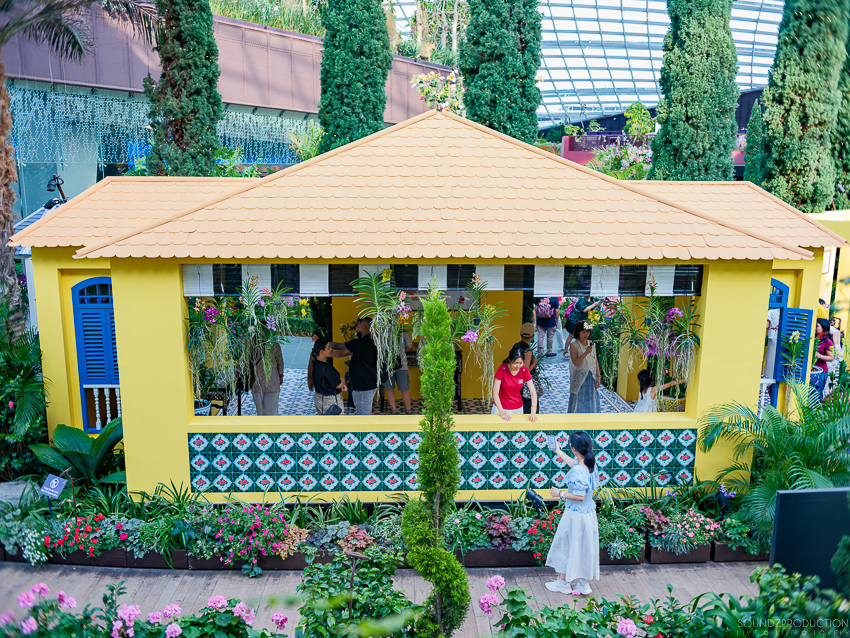 GFX100S II - Viltrox Canon EF 35mm f/2