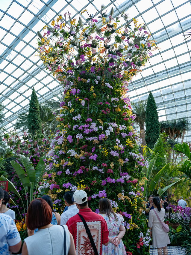 GFX100S II - Viltrox Canon EF 35mm f/2