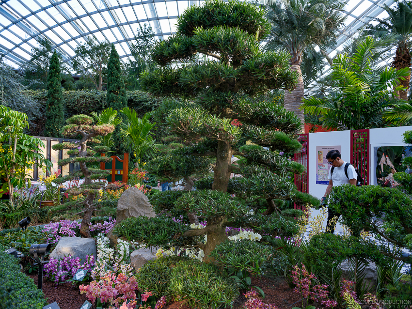 GFX100S II - Viltrox Canon EF 35mm f/2