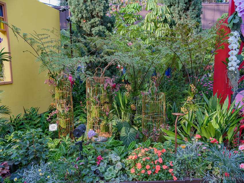 GFX100S II - Viltrox Canon EF 35mm f/2