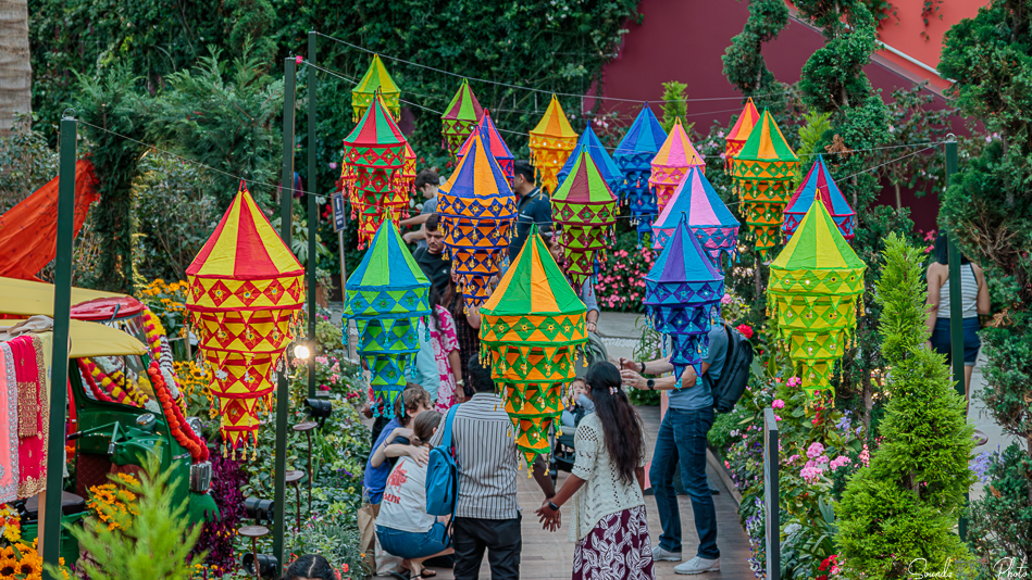 Canon EOS 7D Mark II - EF24-105mm f/4L IS USM