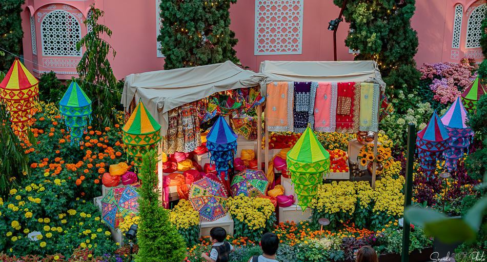 Canon EOS 7D Mark II - EF24-105mm f/4L IS USM