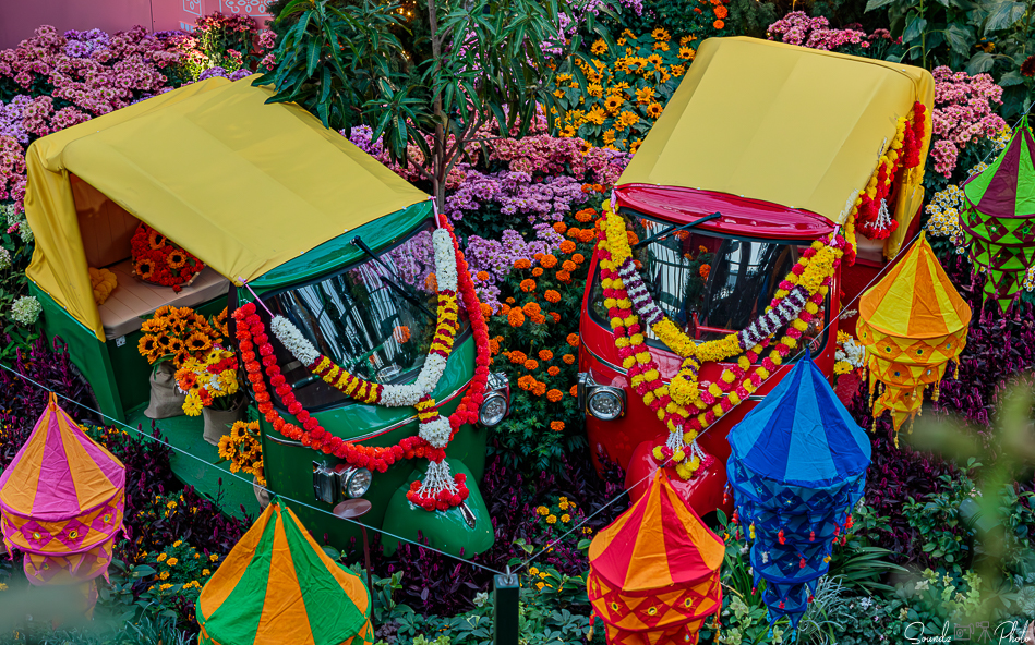 Canon EOS 7D Mark II - EF24-105mm f/4L IS USM