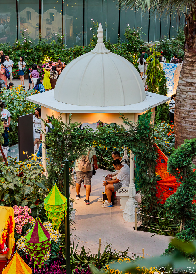 Canon EOS 7D Mark II - EF24-105mm f/4L IS USM