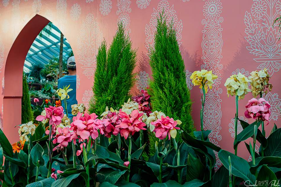 Canon EOS 7D Mark II - EF24-105mm f/4L IS USM