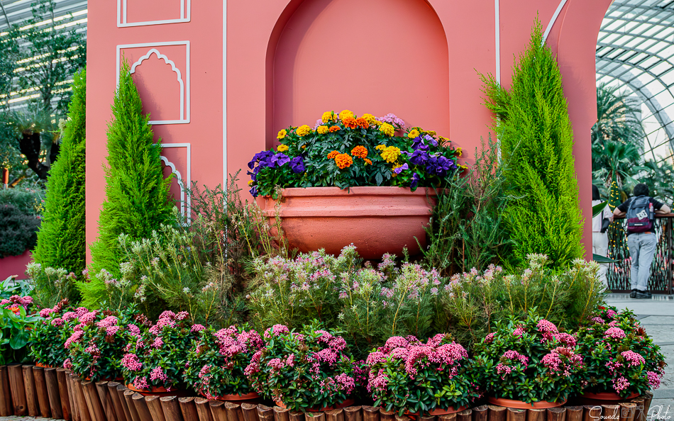 Canon EOS 7D Mark II - EF24-105mm f/4L IS USM