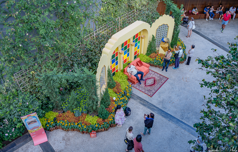 GFX100S II - Viltrox Canon EF 35mm f/2