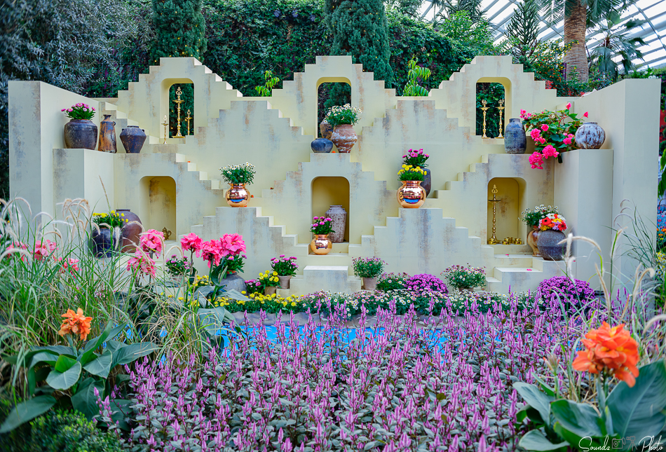 GFX100S II - Viltrox Canon EF 35mm f/2