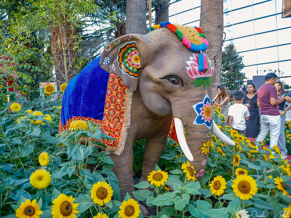 GFX100S II - Viltrox Canon EF 35mm f/2