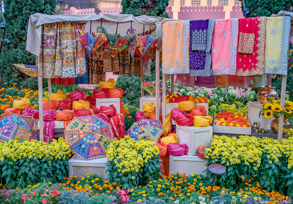 GFX100S II - Viltrox Canon EF 35mm f/2