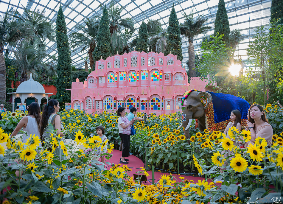 GFX100S II - Viltrox Canon EF 35mm f/2