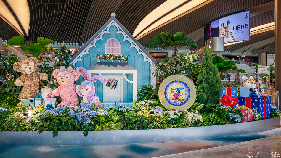 GFX100S II - Viltrox Canon EF 35mm f/2