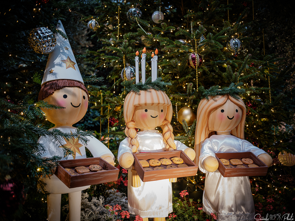 GFX100S II - Viltrox Canon EF 35mm f/2