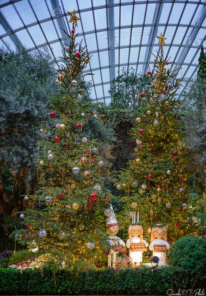 GFX100S II - Viltrox Canon EF 35mm f/2