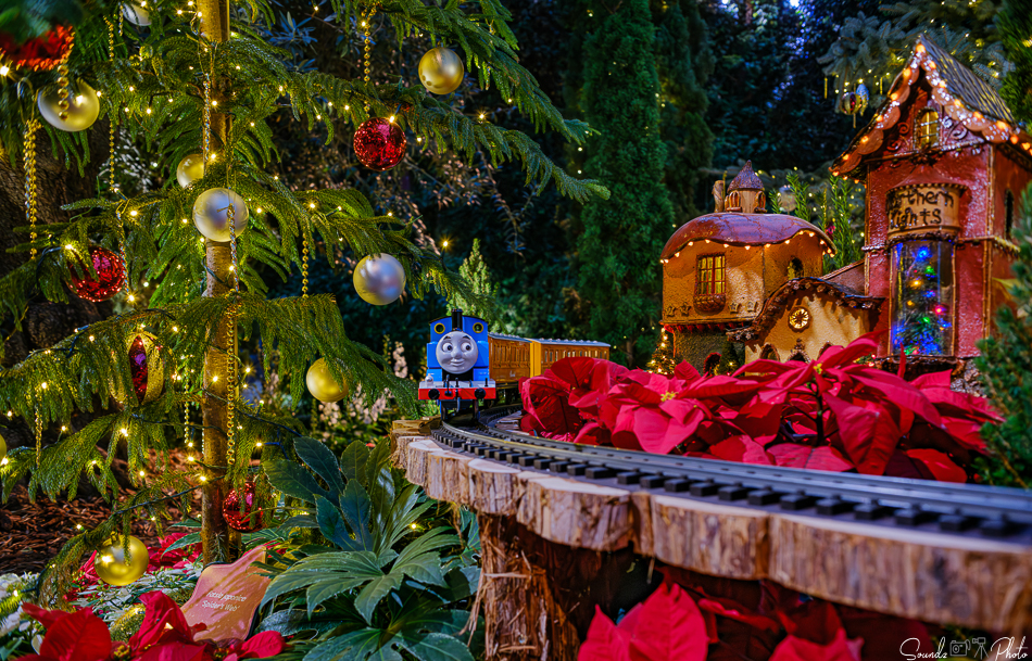 GFX100S II - Viltrox Canon EF 35mm f/2