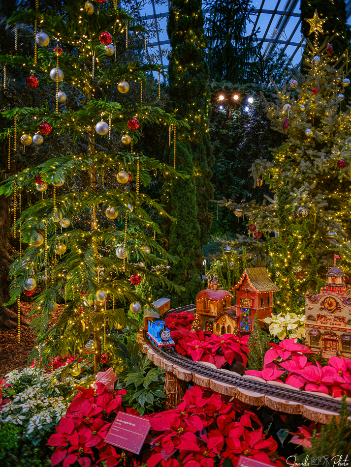 GFX100S II - Viltrox Canon EF 35mm f/2