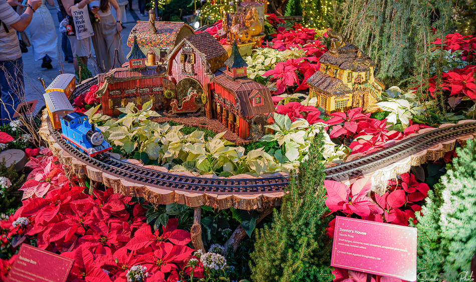 GFX100S II - Viltrox Canon EF 35mm f/2