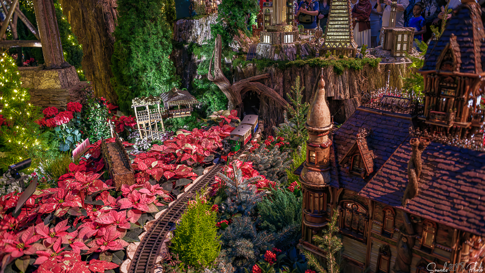 GFX100S II - Viltrox Canon EF 35mm f/2