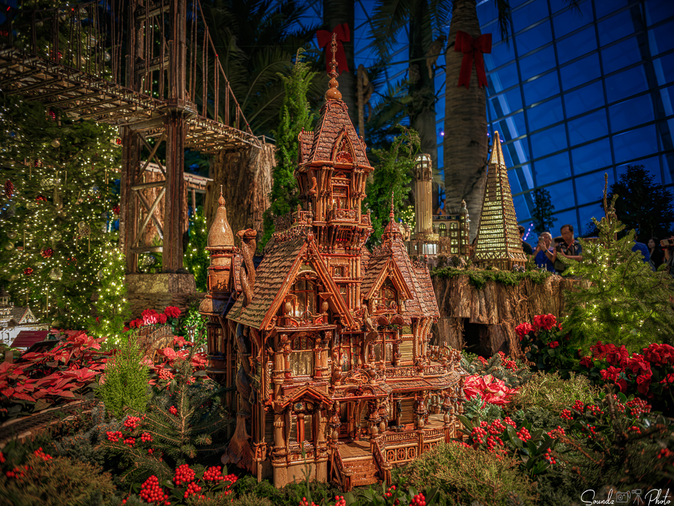 GFX100S II - Viltrox Canon EF 35mm f/2