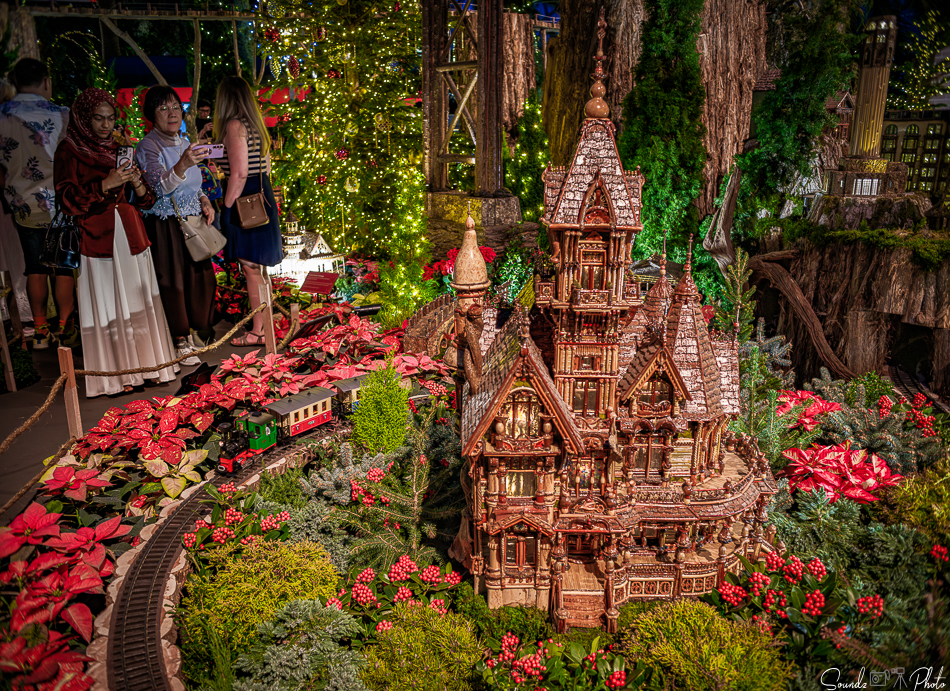 GFX100S II - Viltrox Canon EF 35mm f/2