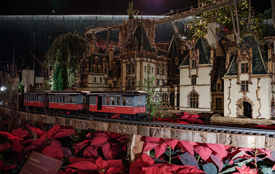 GFX100S II - Viltrox Canon EF 35mm f/2