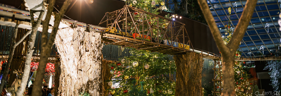 GFX100S II - Viltrox Canon EF 35mm f/2